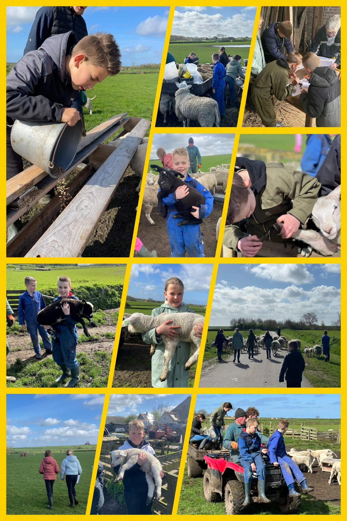 Groep 6-7-8 naar de boerderij